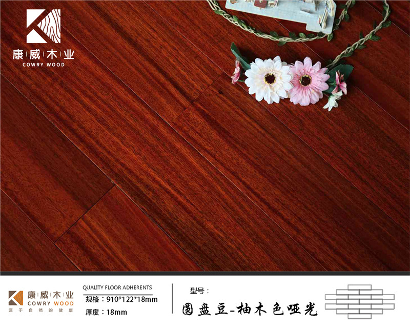圓盤豆-柚木色啞光.jpg