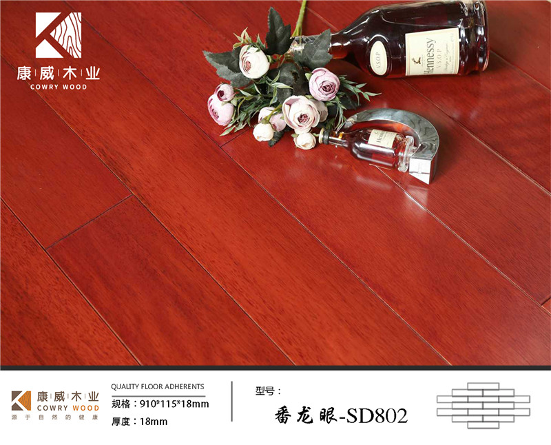 番龍眼-SD802.jpg